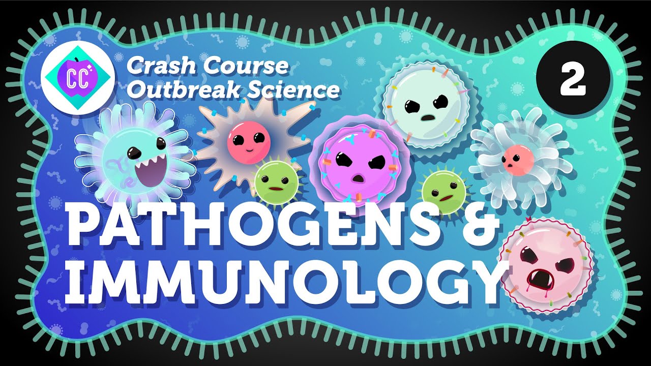 Thumbnail for How Do Outbreaks Start? Pathogens and Immunology: Crash Course Outbreak Science #2